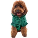 Biscay Green Swirls Dog Coat View1