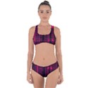 Pink Black Punk Plaid Criss Cross Bikini Set View1