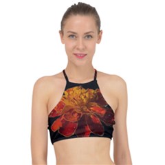 Marigold On Black Racer Front Bikini Top by MichaelMoriartyPhotography