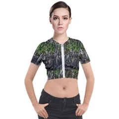 Green Glitter Squre Short Sleeve Cropped Jacket by Sparkle