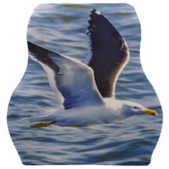 Seagull Flying Over Sea, Montevideo, Uruguay Car Seat Velour Cushion  by dflcprintsclothing