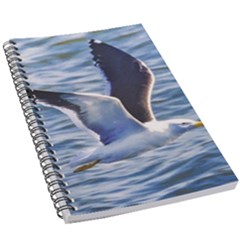 Seagull Flying Over Sea, Montevideo, Uruguay 5 5  X 8 5  Notebook by dflcprintsclothing