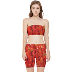 Colorful Strawberries At Market Display 1 Stretch Shorts And Tube Top Set by dflcprintsclothing