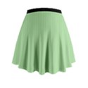 Pale Green - Mini Flare Skirt View2