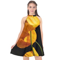 Yellow Poppies Halter Neckline Chiffon Dress 