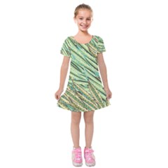 Green Leaves Kids  Short Sleeve Velvet Dress by goljakoff