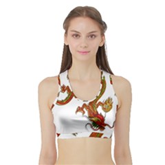 Dragon Art Glass Metalizer China Sports Bra With Border