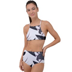 Natural Palm Plant High Waist Tankini Set by Mariart