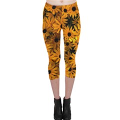 Rudbeckias  Capri Leggings  by Sobalvarro