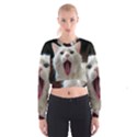 Wow Kitty Cat From Fonebook Cropped Sweatshirt View1