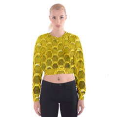 Hexagon Windows Cropped Sweatshirt by essentialimage365