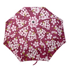 Cherry Blossom Folding Umbrellas by goljakoff