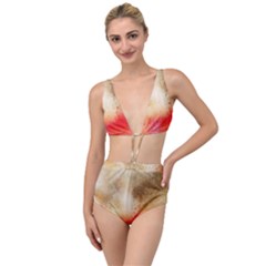 Gold Drops Tied Up Two Piece Swimsuit by goljakoff