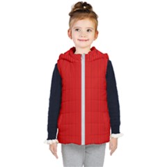 Zappwaits Kids  Hooded Puffer Vest by zappwaits