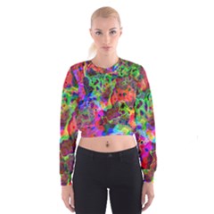 Electric Cropped Sweatshirt by JustToWear