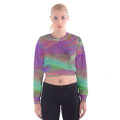 Color Winds Cropped Sweatshirt by LW41021