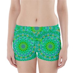 Greenspring Boyleg Bikini Wrap Bottoms