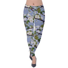 Pear Branch With Flowers Velvet Leggings by SychEva