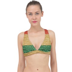 Braid-3232366 960 720 Classic Banded Bikini Top by SoLoJu