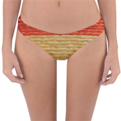 Couleurs Emblématiques Reversible Hipster Bikini Bottoms by SoLoJu