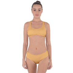 Bees Wax Orange Criss Cross Bikini Set by FabChoice