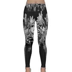 Black And White Lilies Botany Motif Print Lightweight Velour Classic Yoga Leggings by dflcprintsclothing