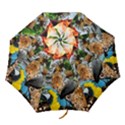 Amazonia Folding Umbrellas View1