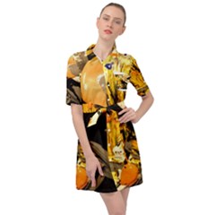 Dscf5559 - Edited Belted Shirt Dress by bestdesignintheworld