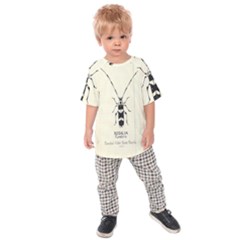 Banded Alder Borer  Kids  Raglan Tee