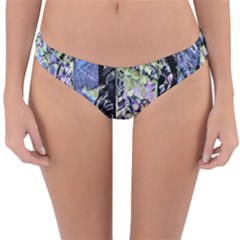 Just A Show Reversible Hipster Bikini Bottoms by MRNStudios