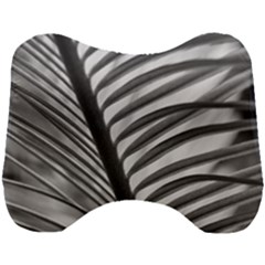 Cycas Leaf The Shadows Head Support Cushion by DimitriosArt