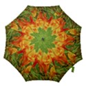 Orange On The Green Hook Handle Umbrellas (Medium) View1