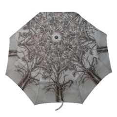 Big Tree Photo Illustration Folding Umbrellas by dflcprintsclothing