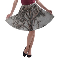 Big Tree Photo Illustration A-line Skater Skirt by dflcprintsclothing