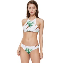 Nature Banded Triangle Bikini Set