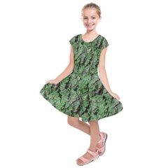 Botanic Camouflage Pattern Kids  Short Sleeve Dress by dflcprintsclothing