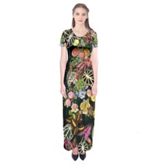 Tropical Pattern Short Sleeve Maxi Dress by CoshaArt