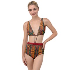 Red Abbey Abstract Animal Print Tied Up Two Piece Swimsuit