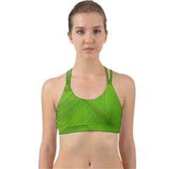 Banana Leaf Back Web Sports Bra by artworkshop