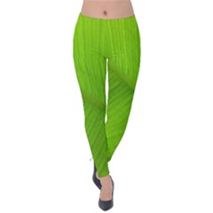 Banana Leaf Velvet Leggings by artworkshop