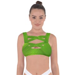 Banana Leaf Bandaged Up Bikini Top by artworkshop