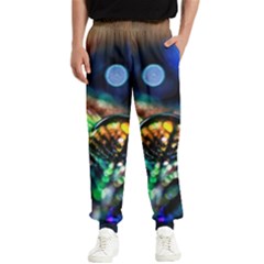 Peacock Feather Drop Men s Elastic Waist Pants by artworkshop