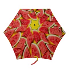 Watermelon Mini Folding Umbrellas by artworkshop