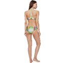 Art In Space Banded Triangle Bikini Set View4