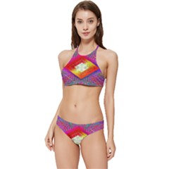 Diamond In The Rough Banded Triangle Bikini Set by Thespacecampers