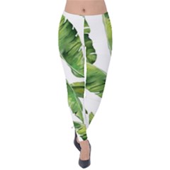 Sheets Tropical Plant Palm Summer Exotic Velvet Leggings