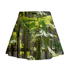 Bitter Melon Mini Flare Skirt by artworkshop