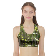 Bitter Melon Sports Bra With Border by artworkshop