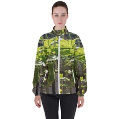 Bitter Melon Women s High Neck Windbreaker by artworkshop