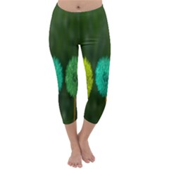 Dandelions Capri Winter Leggings 